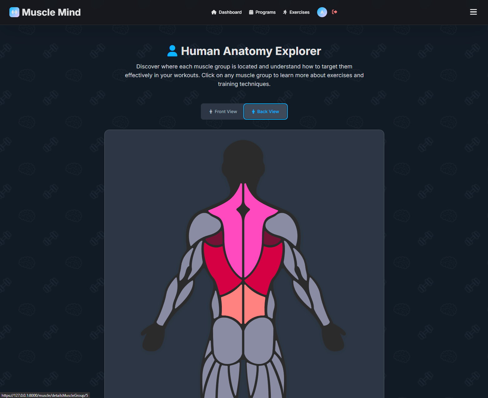 MuscleMind - Explorateur d'Anatomie