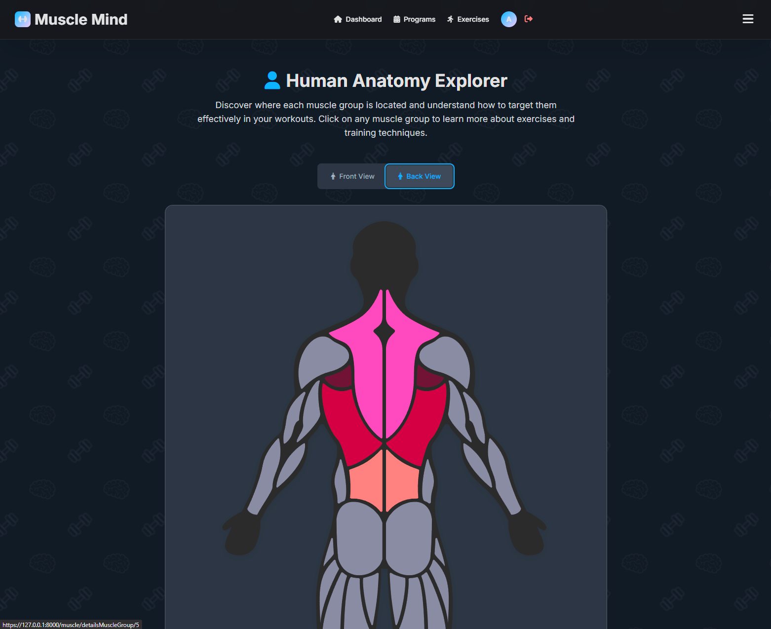 Explorateur anatomique MuscleMind